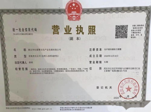 華社集團簡介
